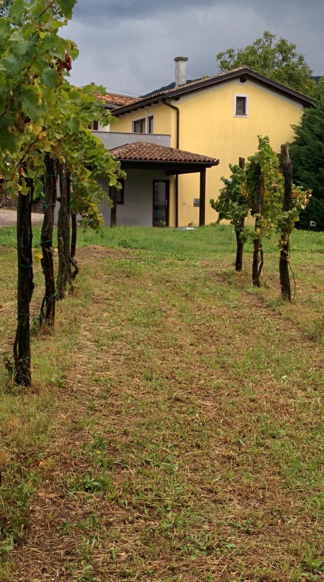 Small House In Vipava Valley Eksteriør bilde