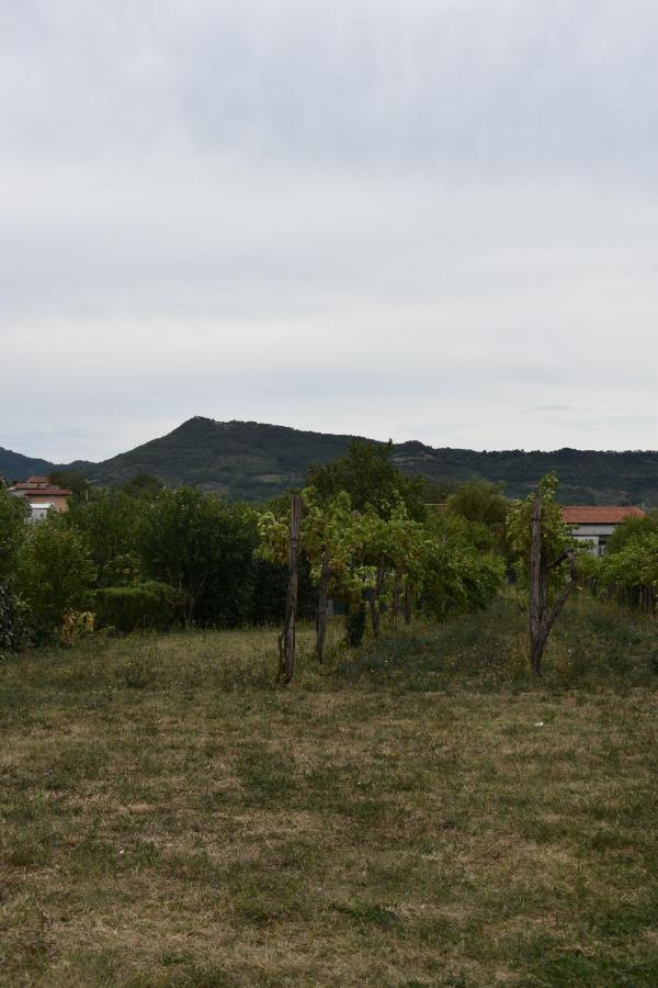 Small House In Vipava Valley Eksteriør bilde
